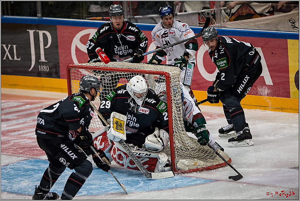 DEL, Koelner Haie - Augsburger Panther, 13.01.2017